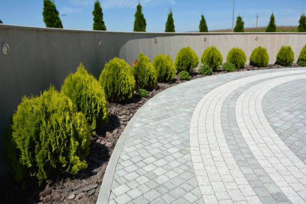 Best Driveway Pavers Cost  in Wallis, TX